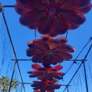 Meet your Posher, Kaydance